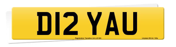 Registration number D12 YAU